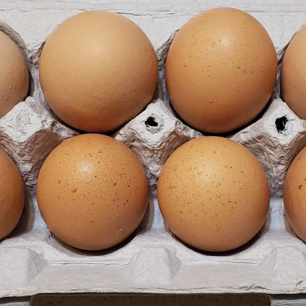 FHF Eggs, Dozen - Free Range Organic