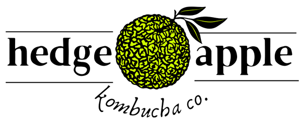 IFH - Hedge Apple Kombucha, 6 pack