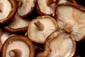 FTF - Shiitake mushrooms
