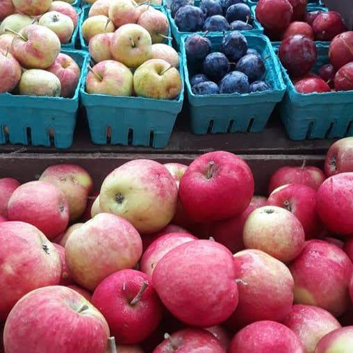 HOC - Hoch Orchard Apples, Snowsweet, 3lb