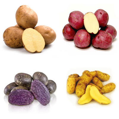 IFH Driftless Organics Potatoes, various