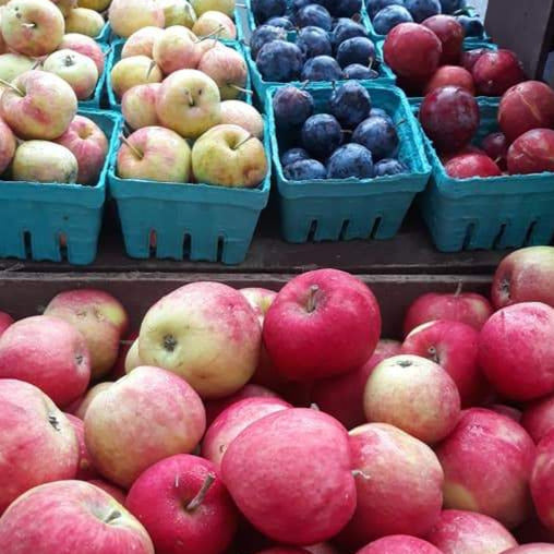 IFH Apples, Pink Lady, 5lbs