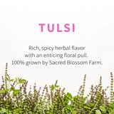 SBF - Herbal Tea - Tulsi (Holy Basil)