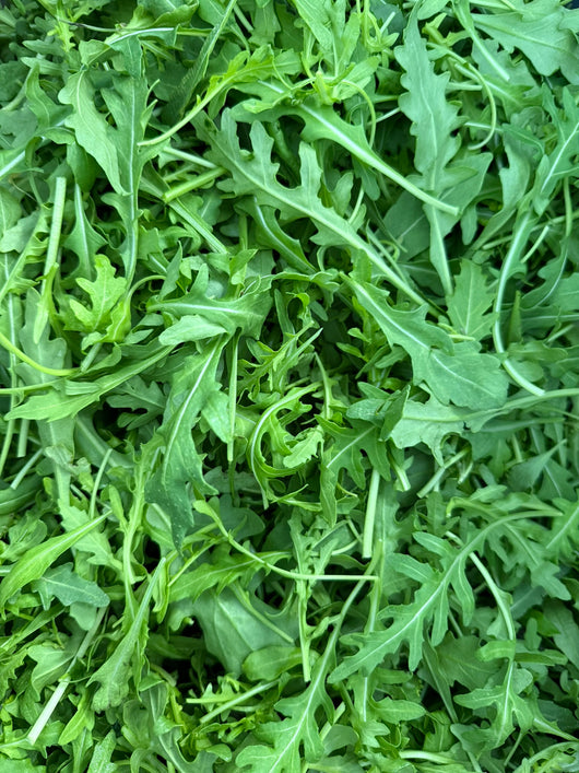 OBF Arugula, 5oz bag