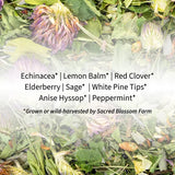 SBF - Herbal Tea - Immunity Blend