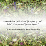 SBF - Herbal Tea - Turtle Blend