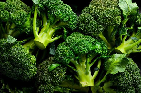 PGF Broccoli