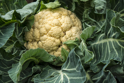 IFH Cauliflower, each