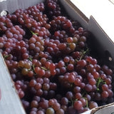 IFH Creekside Grapes, Seedless, 1lb