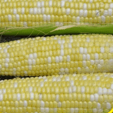 IFH Sweet Corn, 1/2 dozen or 1 dozen