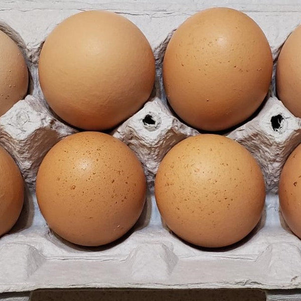 FHF Free Range Organic Eggs, Dozen