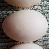 IFH Duck Eggs, Large, Half-dozen