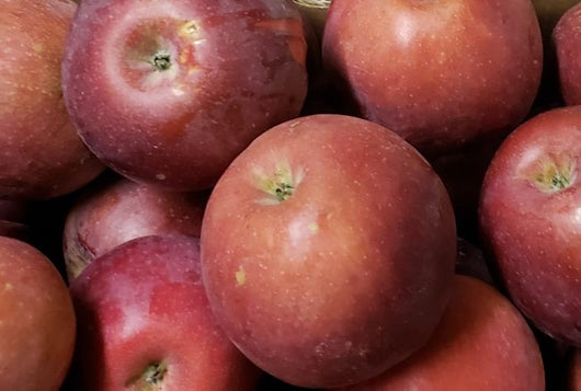 FHF Apples - Spartan