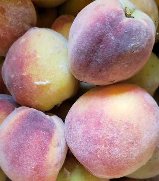 IFH Peaches, Flamm Orchard