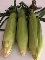 IFH Sweet Corn, 1/2 dozen or 1 dozen