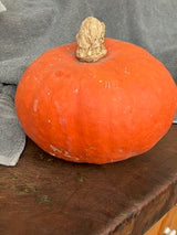 CCP Squash, Sunshine Kabocha