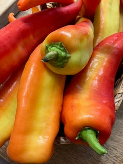 CCP Sweet Pepper, 