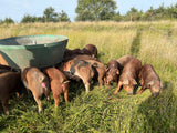 IFH -  Prairie Rose Provisions Salami