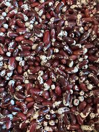 MLO Meadowlark Organics, Jacob's Cattle Beans, 1lb