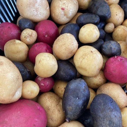 PGF Potatoes, Mixed Small Roasters