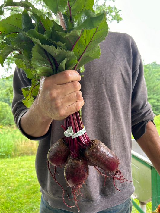 PGF Beets, Golden