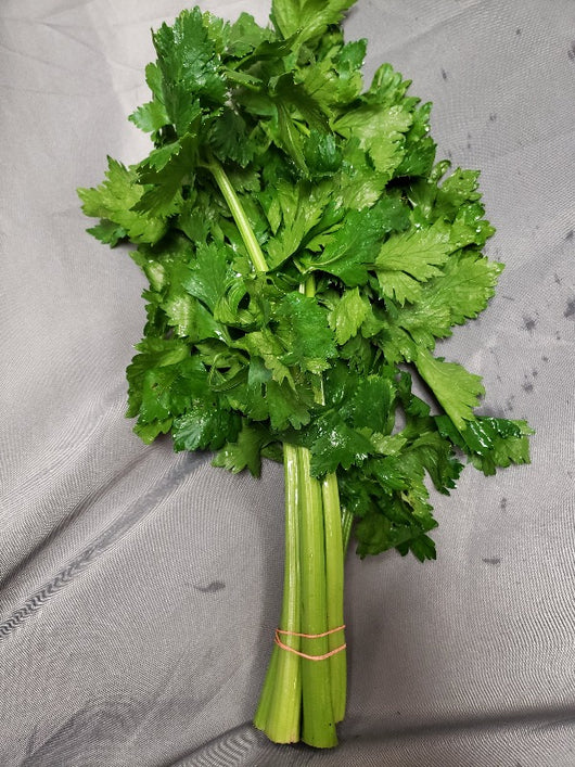 PHF Celery, 1 bunch