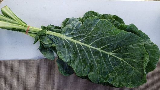 PHF Collard Greens