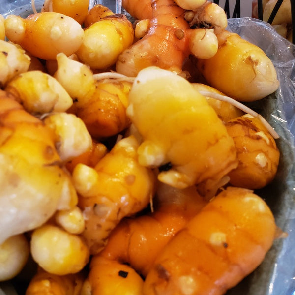 IFH Turmeric, 1/4 lb