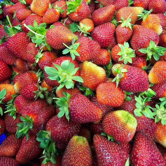HHHa - Strawberries, 1 pint