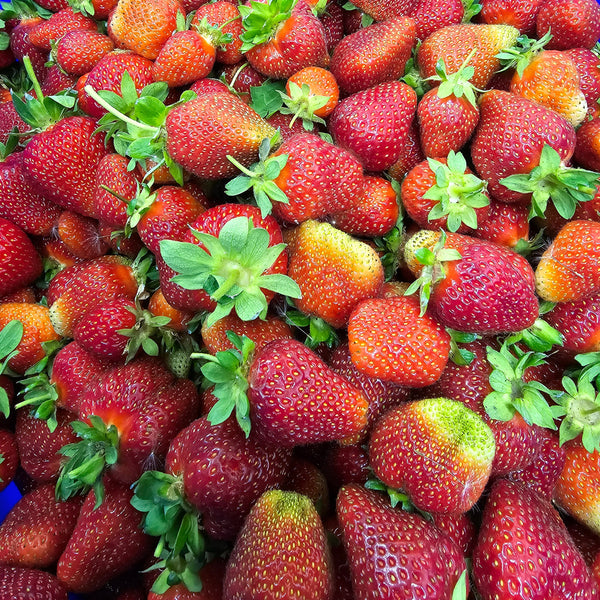 HHHa - Strawberries, 1 pint