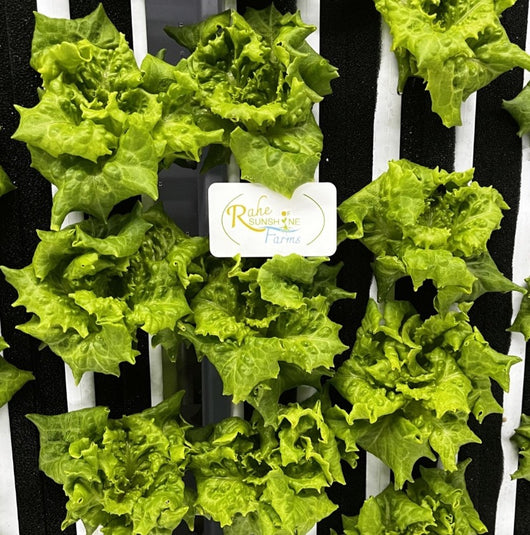 RSF Summer Crisp Mix, 8oz.