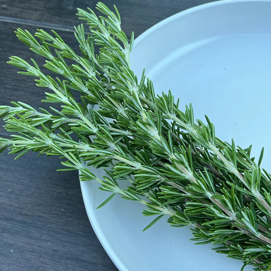 PHF Rosemary