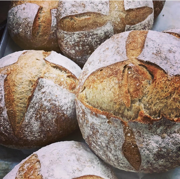 MWB Whole Wheat Sourdough