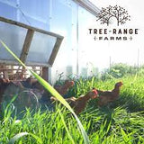 TRA Chicken, Quarter Halves, 1.0-1.5lbs