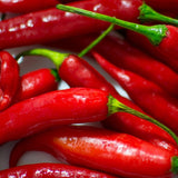 PGF Hot Peppers, various, pack of 3
