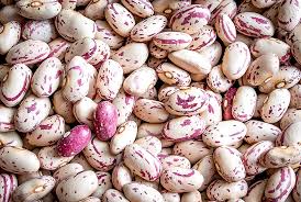 MLO Meadowlark Organics, Cranberry Beans, 1lb