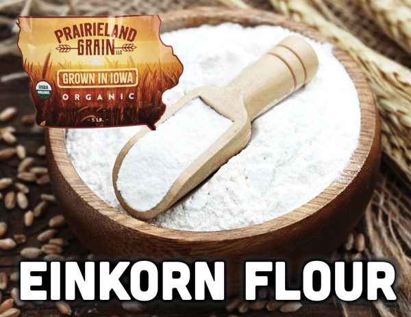 IFH Prairieland Grains Einkorn Flour