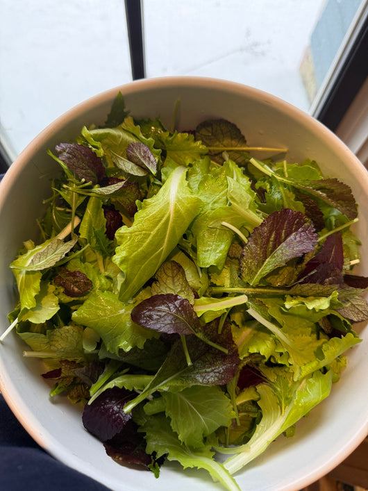 OBF - Deep Winter Greens Mix, 5 oz bag