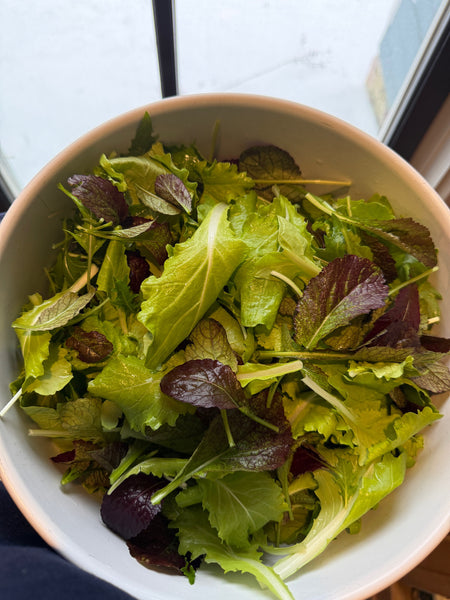 OBF - Deep Winter Greens Mix, 5 oz bag