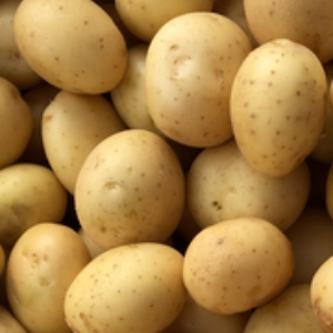 PGF Potatoes, Yellow, 5# bag