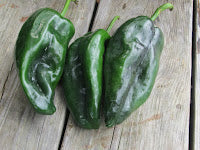 IFH  Peppers, Poblano