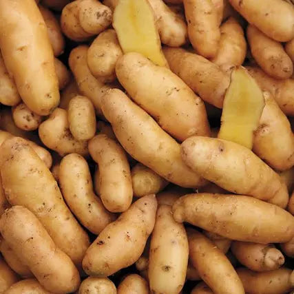 IFH Fingerling Potatoes, Yellow, 2lb bag