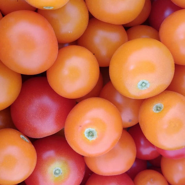 HHHa Tomatoes, Cherry - pint