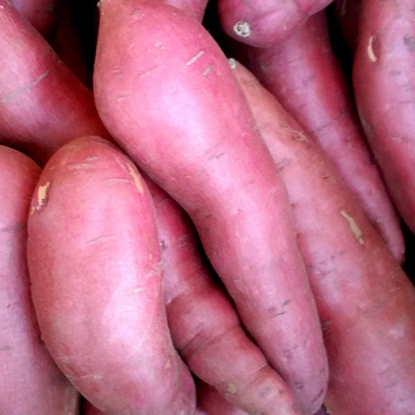 IFH Sweet Potatoes, Baby Sized, 3 lb bag