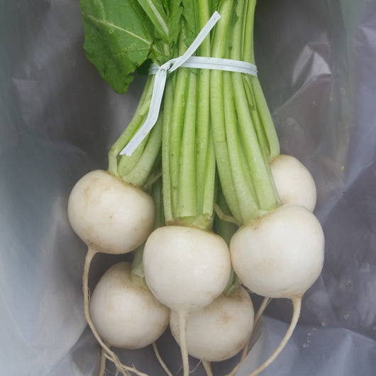 HHHa Hakurei Turnips, 1lb