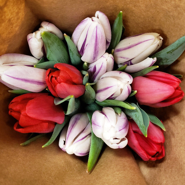 PHF Tulip Bouquets
