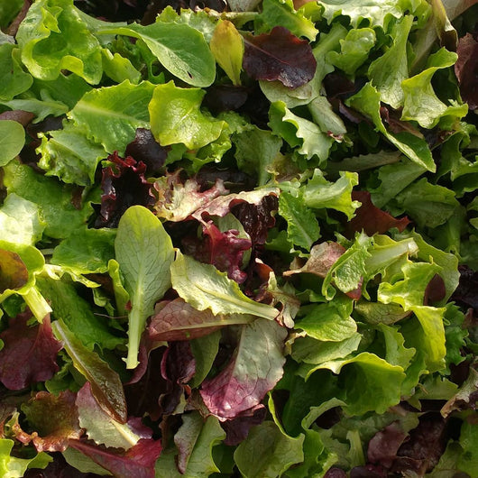 HHHa Salad Mix, various