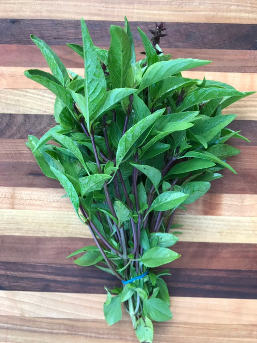 OBF Thai Basil