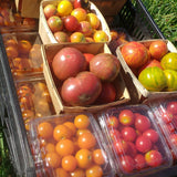 HHHa Tomatoes, Cherry - pint