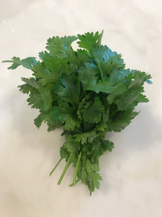 OBF - Cilantro, 1 bunch